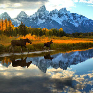 Grand Teton National Park Autumn Stroll by Adam Jewell Grand Teton National Park Autumn Stroll by Adam Jewell