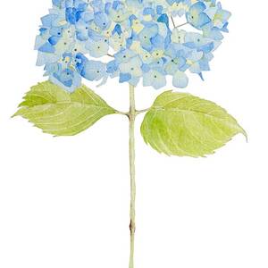 Happy Day by Catherine Bede