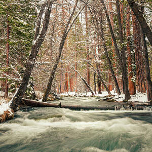 Hat Creek Winter Wonderland. Snowy Northern California Creek and Forest by Mike Lee Hat Creek Winter Wonderland. Snowy Northern California Creek and Forest by Mike Lee