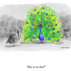 Hat or no Hat? by Emily Bernstein