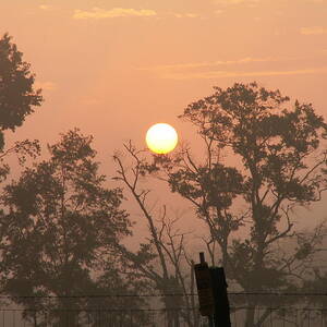 Hazy Sunrise by Brian Hare