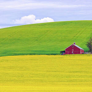 Heartland Harmony in Idaho by Kevin Schwalbe