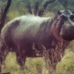 Hippo by Gary Arnold Hippo by Gary Arnold