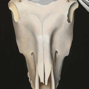 Horse's Skull with White Rose by Georgia O'Keeffe by Georgia O'Keeffe Horse's Skull with White Rose by Georgia O'Keeffe by Georgia O'Keeffe