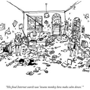 How Make Calm Down by Edward Steed