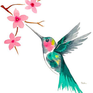 Hummingbird by Catherine Bede
