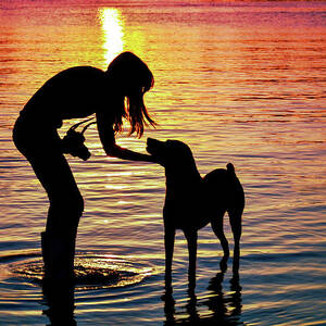 if you call I will answer by Laura Fasulo if you call I will answer by Laura Fasulo