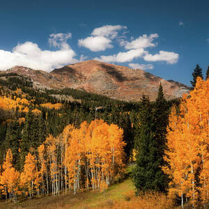 Kebler Pass Magical Fall Landscape by Dan Sproul