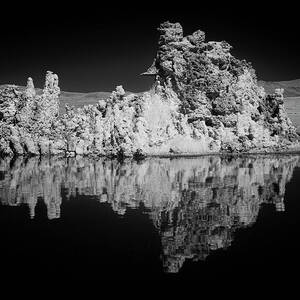 Limestone Love - Mono Lake - Inyo County California by Mike Lee
