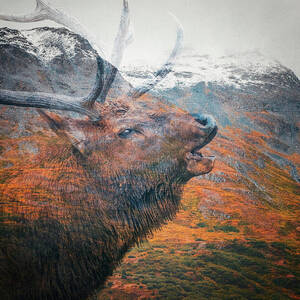 Majestic Elk Bugle and Mountain Landscape by Dan Sproul