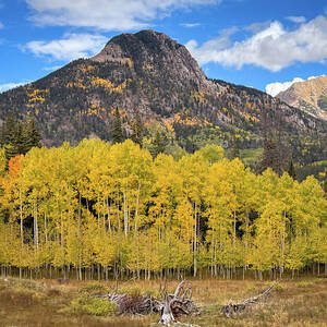 Million Dollar Highway Autumn Road Stop - Colorado by Bruce Friedman