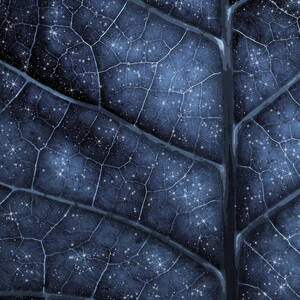 Mithril by Moira Risen