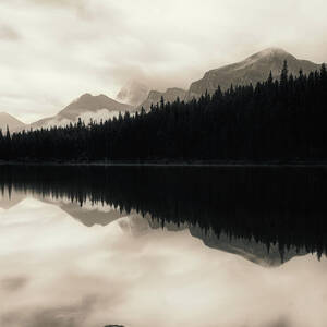 Monochrome Hector Lake Canadian Rockies by Dan Sproul Monochrome Hector Lake Canadian Rockies by Dan Sproul