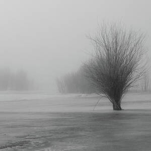 Moody Marsh by Mike Lee