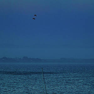 Moonrise Monterey Bay by Tommy Farnsworth