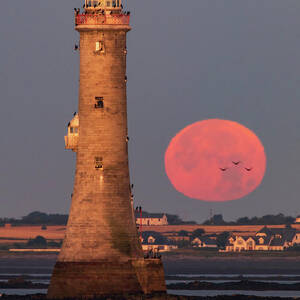 Moonset, Haulbowline Lighthouse by Adrian Hendroff