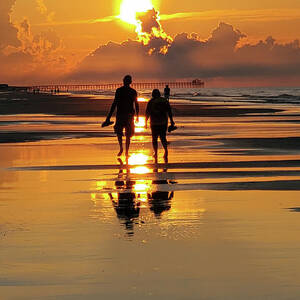 Morning Stroll by Brian Hare