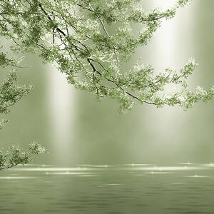 Nephrite by Moira Risen