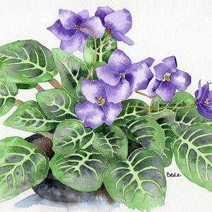 Oh Yeah by Catherine Bede