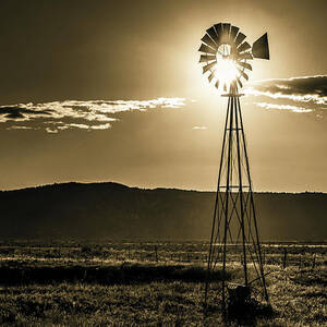 Old Reliable by Mike Lee