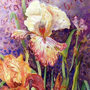 Party Iris - Iris #15 by Sheila Parsons