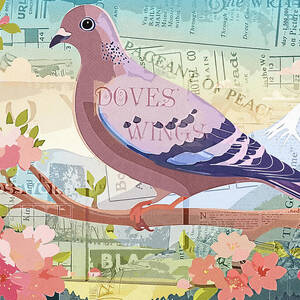 Peace Dove Cherry Blossoms by Dan Sproul Peace Dove Cherry Blossoms by Dan Sproul