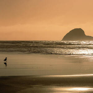 Peaceful Solitude - Trinidad State Beach - Humboldt County California by Mike Lee