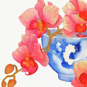 Pink Orchid Watercolor in Blue Chinoiserie Vase by Deborah League