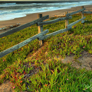 Point Reyes Beach Fence Sunset by Adam Jewell Point Reyes Beach Fence Sunset by Adam Jewell