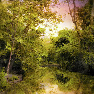 Reflecting on Spring by Jessica Jenney