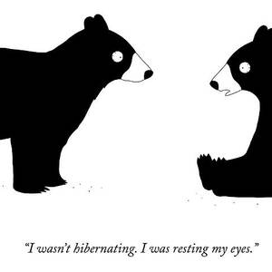 Resting My Eyes by Seth Fleishman