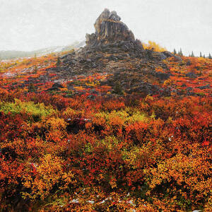 Savage River Autumn Foliage by Dan Sproul