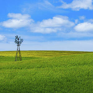 Sentinel of the Fields by Kevin Schwalbe