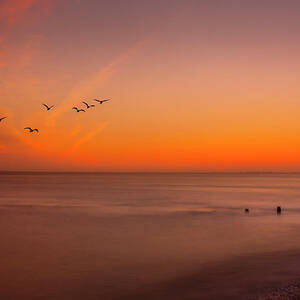 Skies of Selsey by Chris Boulton