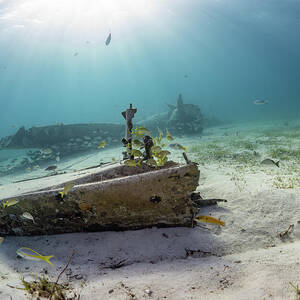 Smuggler's Plane Wreck by Brian Weber Smuggler's Plane Wreck by Brian Weber