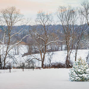 Snowy Landscape with Lone Tree by Dave King