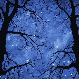 Sodalite by Moira Risen