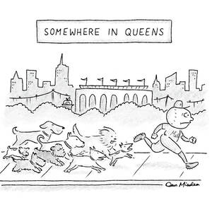 Somewhere In Queens by Dan Misdea Somewhere In Queens by Dan Misdea