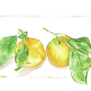 Space Between by Catherine Bede