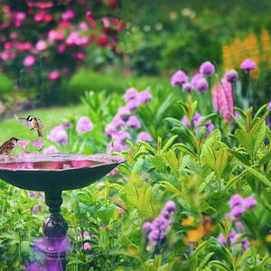 Spring Splendor by Jessica Jenney