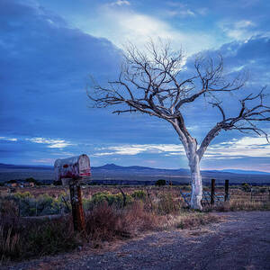 Standing in Silence by Robert Niemeier