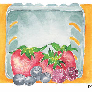 Summer Job by Catherine Bede