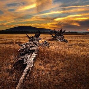 Sunset on the Flat by Mike Lee