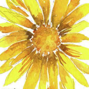 Super Happy by Catherine Bede