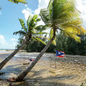 Swinging Under The Palm Trees, Loiza, Puerto Rico by Beachtown Views Swinging Under The Palm Trees, Loiza, Puerto Rico by Beachtown Views