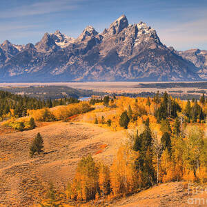 Teton Autumn Tapestry Left by Adam Jewell Teton Autumn Tapestry Left by Adam Jewell