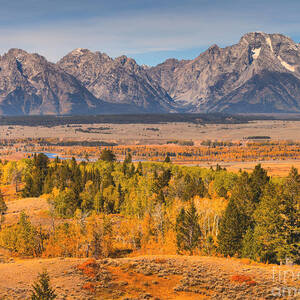 Teton Autumn Tapestry Right by Adam Jewell Teton Autumn Tapestry Right by Adam Jewell