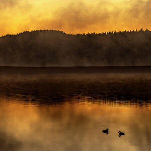 The Dawning by Tim Lyden