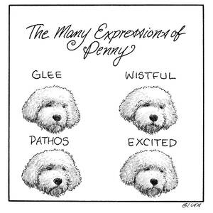 The Many Expressions of Penny by Harry Bliss