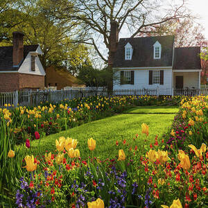 The Taliaferro-Cole House Spring Garden by Rachel Morrison